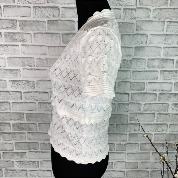 Zara | NWT White Scallop V Neck Short Sleeve Pointelle Knit Crop Top L - Picture 6 of 7